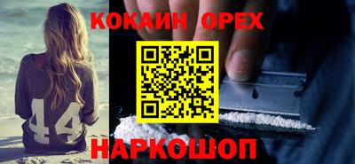 крисы Новодвинск