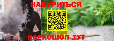 крисы Новодвинск