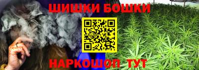 сатива Обь