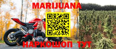 крисы Новодвинск