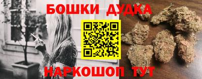 крисы Новодвинск