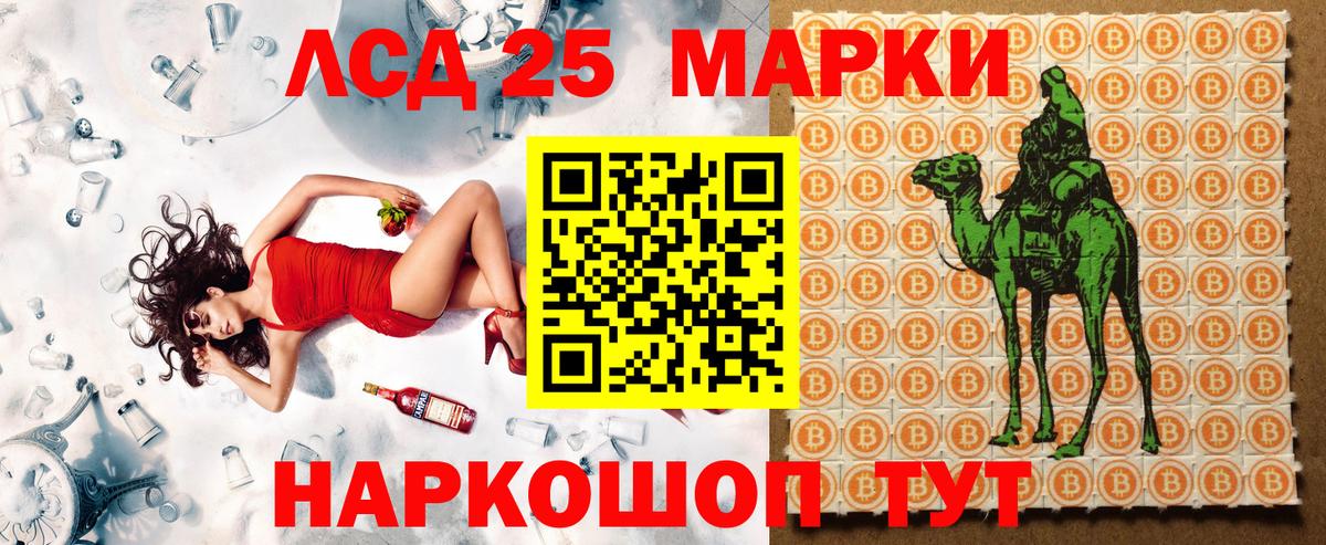 как найти закладки  Марки NBOMe 1500мкг  Тара  Вход с VPN  Марки NBOMe 1500мкг 